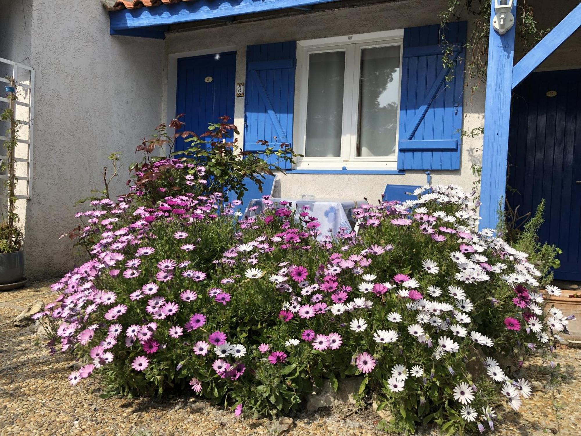 Hotel Des 4 Vents "Esprit Camargue" Aigues-Mortes Bagian luar foto